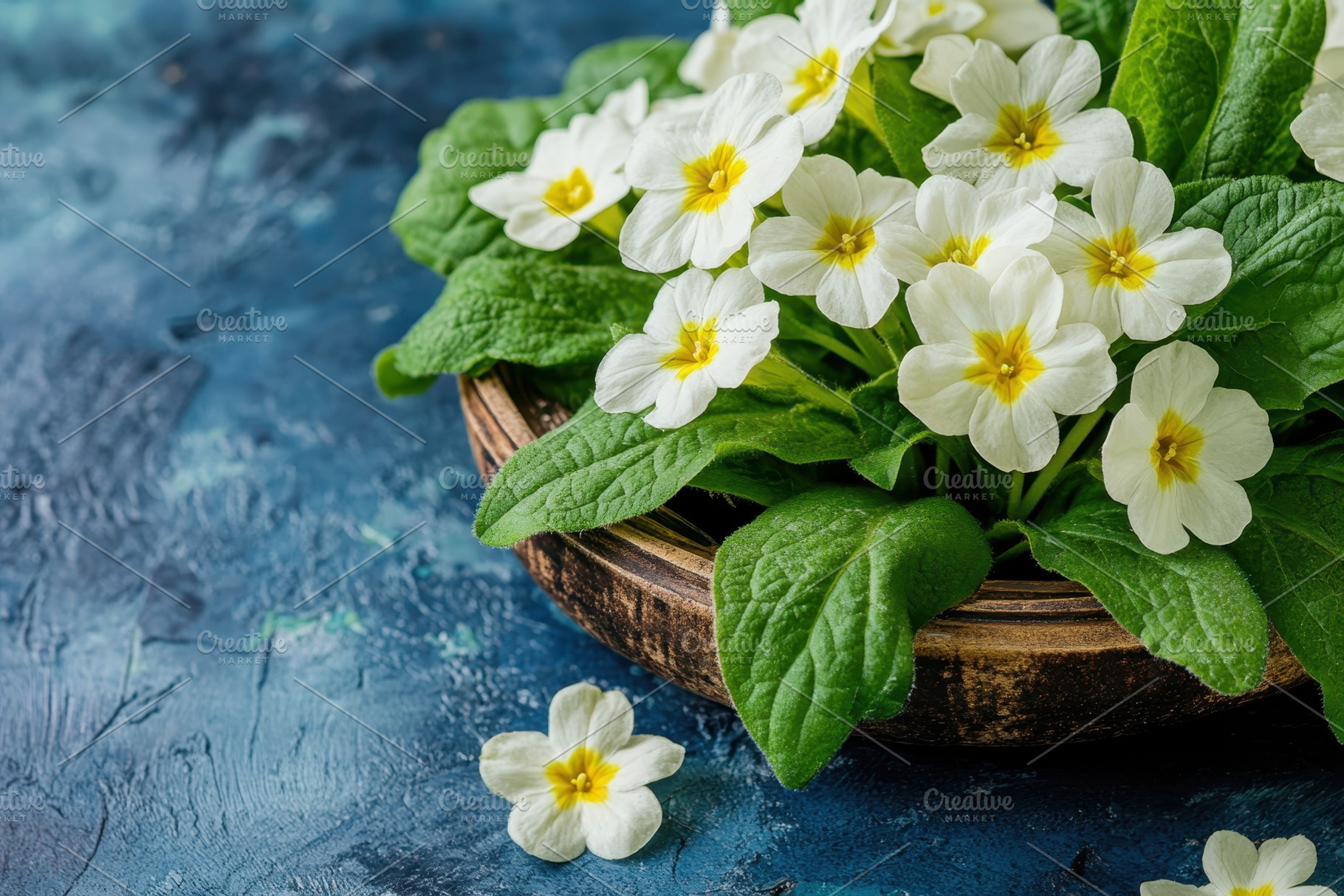White flowers with yellow centers an, a Photo by Tanuart