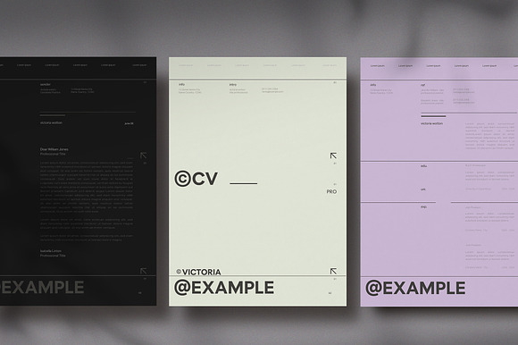 Resume Cover Letter preview 2
