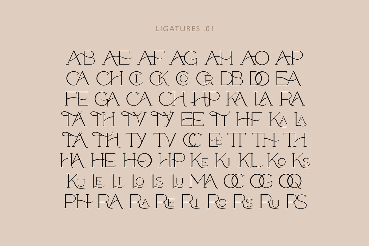 Modern ligature-rich font, a Serif Font by elvinova (Photo 16 of 18)