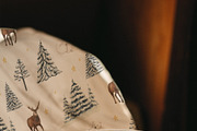 Winter memory Christmas, a Seasonal Illustration by LiChu Art (Thumbnail 11 of 30)