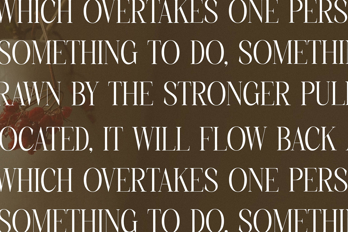 Charthe Modern Font Serif, a Serif Font by Storytype Studio (Photo 11 of 15)