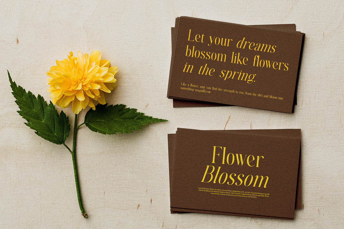 Nother Gambus Family Serif Font, a Serif Font by Graphicxell (Photo 5 of 8)