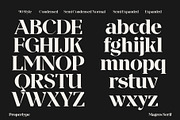 Magres, a Serif Font by Propertype (Thumbnail 10 of 15)