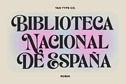 TAN - ROBIN, a Serif Font by TanType (Thumbnail 8 of 11)