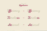 Nexa Script, a Script Font by Fontfabric (Thumbnail 5 of 5)