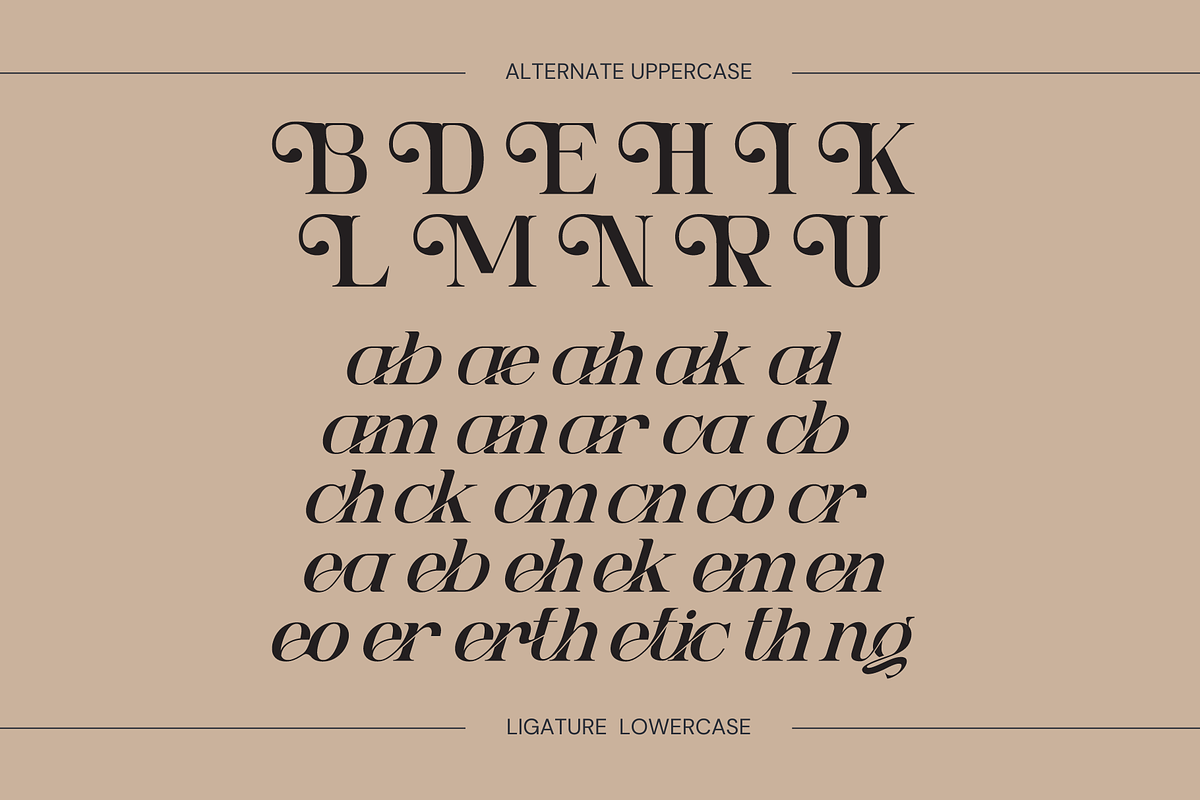 Ngetic Modern - Branding Logo Font, a Serif Font by Nirmana Visual (Photo 7 of 10)