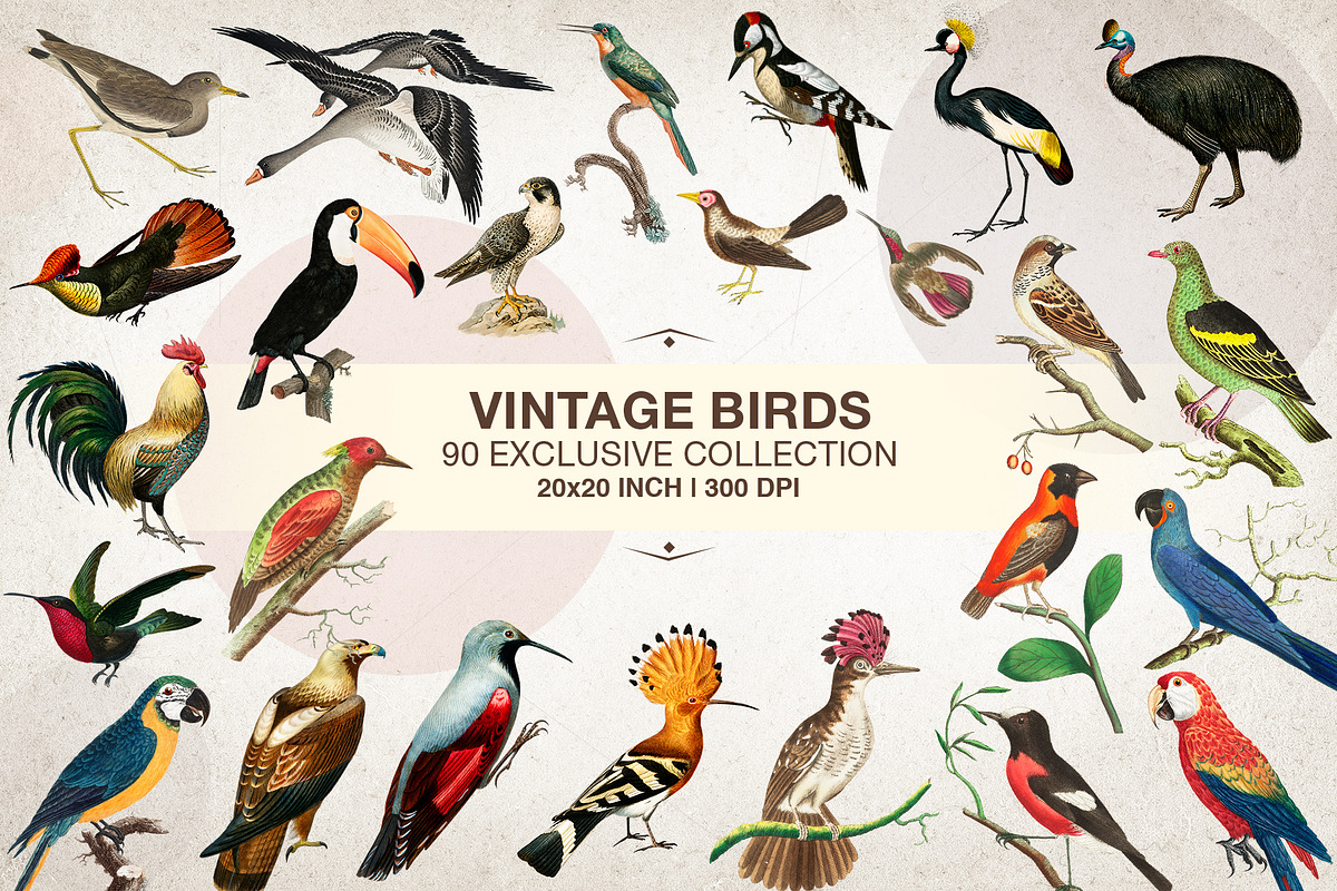 SALE! Fantasy Art Collage Creator, an Object Graphic by SNIPESCIENTIST (Photo 25 of 27)