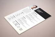 THE RESUME, a Resume Template by graphicbox (Thumbnail 3 of 3)