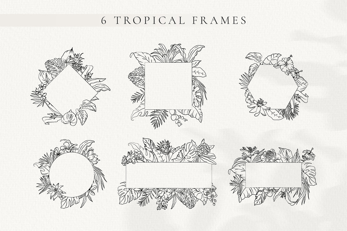 Line Art Tropical Flowers & Leaves, a Decorative Illustration by La Petite Line Art (Photo 6 of 12)