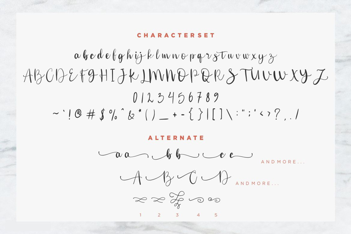 Secillia font, a Script Font by Burhan Afif (Photo 8 of 9)