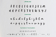 Bestiy  Script, a Script Font by adelaide (Thumbnail 2 of 4)