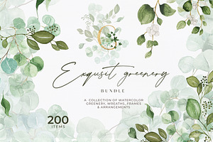 Watercolor Greenery Foliage Bundle