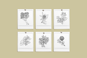 Botanical Sketch Vector Illustration, a Decorative Illustration by Emma Webb Studio (Thumbnail 5 of 7)