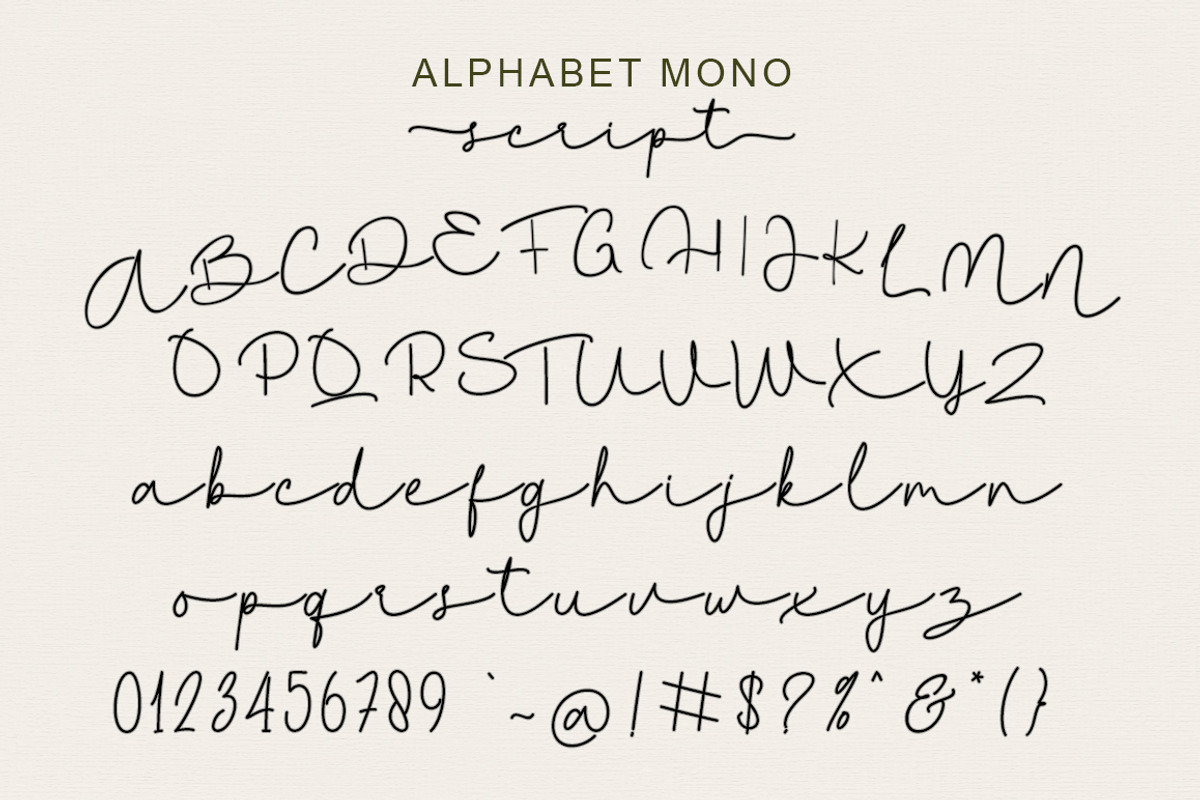 Alphabet Mono Duo, a Script Font by Soft Creative (Photo 9 of 11)