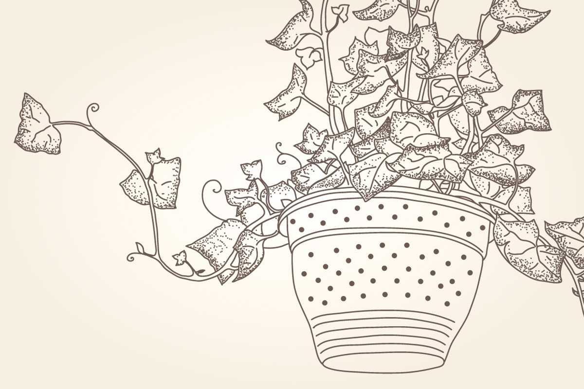 Vintage GARDEN for coloring pages, a Decorative Illustration by ekaart (Photo 7 of 10)