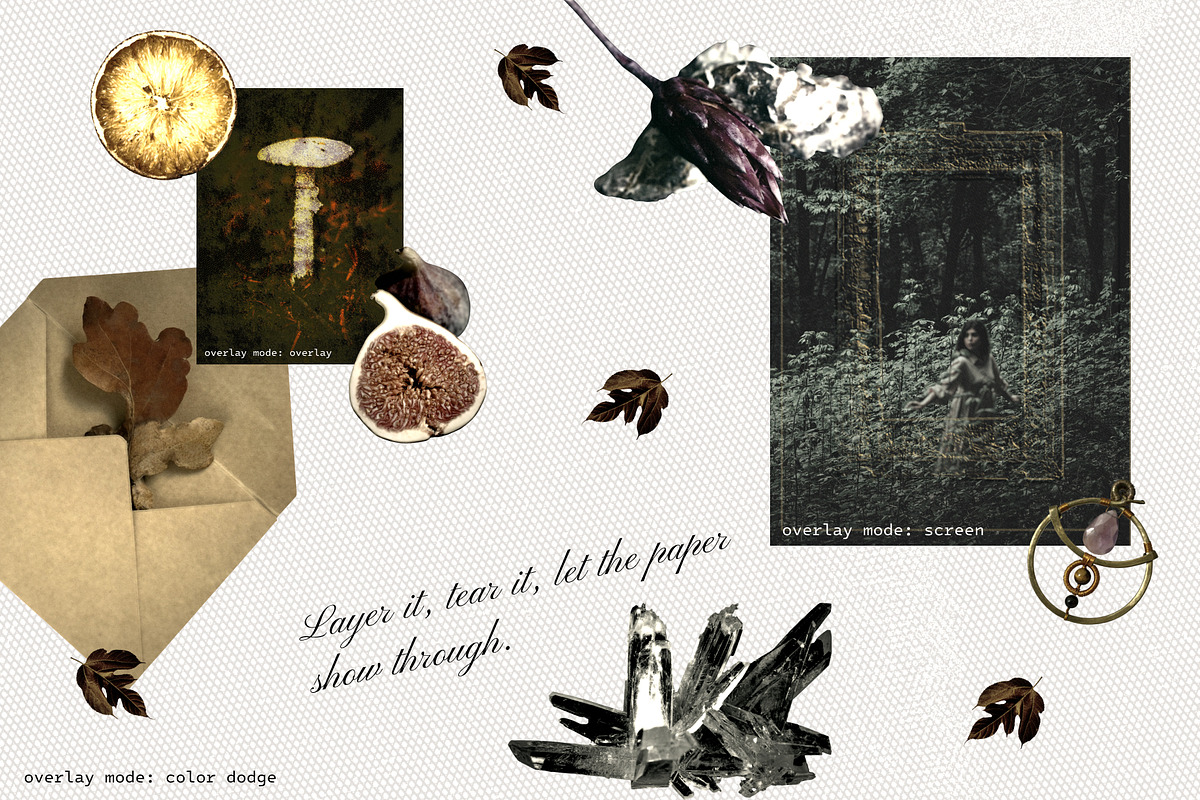 Moody Autumn Ephemera Collage Kit, an Object Graphic by Anzhelika (Photo 8 of 10)