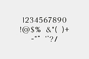 Reanointe Serif Display, a Serif Font by UICreative (Thumbnail 7 of 13)
