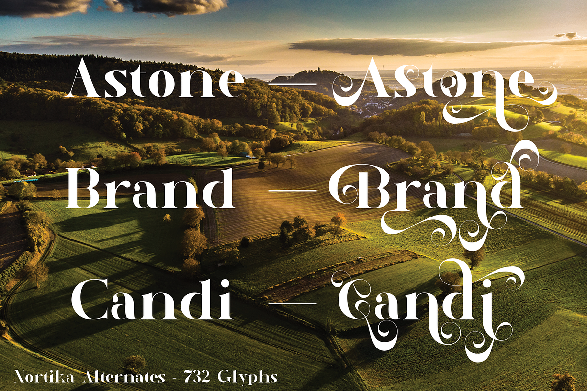 Nortika Serif Vintage Display, a Serif Font by LuhopCreative (Photo 3 of 13)