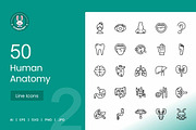 50 Human Anatomy Icons, an Icon by IconBunny (Thumbnail 1 of 2)