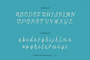 Endago | Monoline Typeface, a Handwritten Font by Brew & Butcher Studio (Thumbnail 2 of 8)