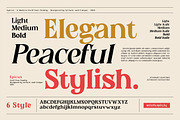 Epicus - Serif font family, a Font by Artistic & Unique (Thumbnail 2 of 14)