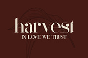 Mother Serif Typeface - 5 weights, a Serif Font by VP Fonts (Thumbnail 6 of 13)