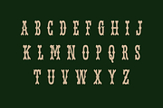 Warsaw, a Serif Font by Studio One Four (Thumbnail 2 of 6)