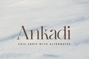 Ankadi Serif