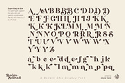 Bavista Soulvare, a Font by Aluyeah Studio (Thumbnail 14 of 15)