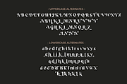 Fragille Modern Serif, a Serif Font by Silverdav (Thumbnail 10 of 10)