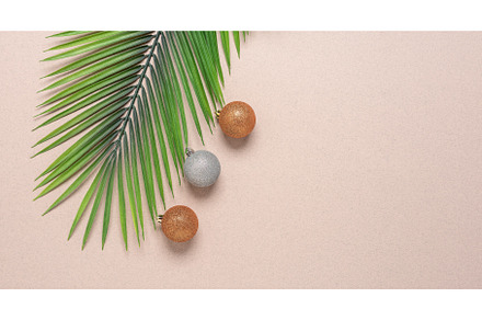 Artificial palm branch and Christmas, a Holiday Photo by Yulia71