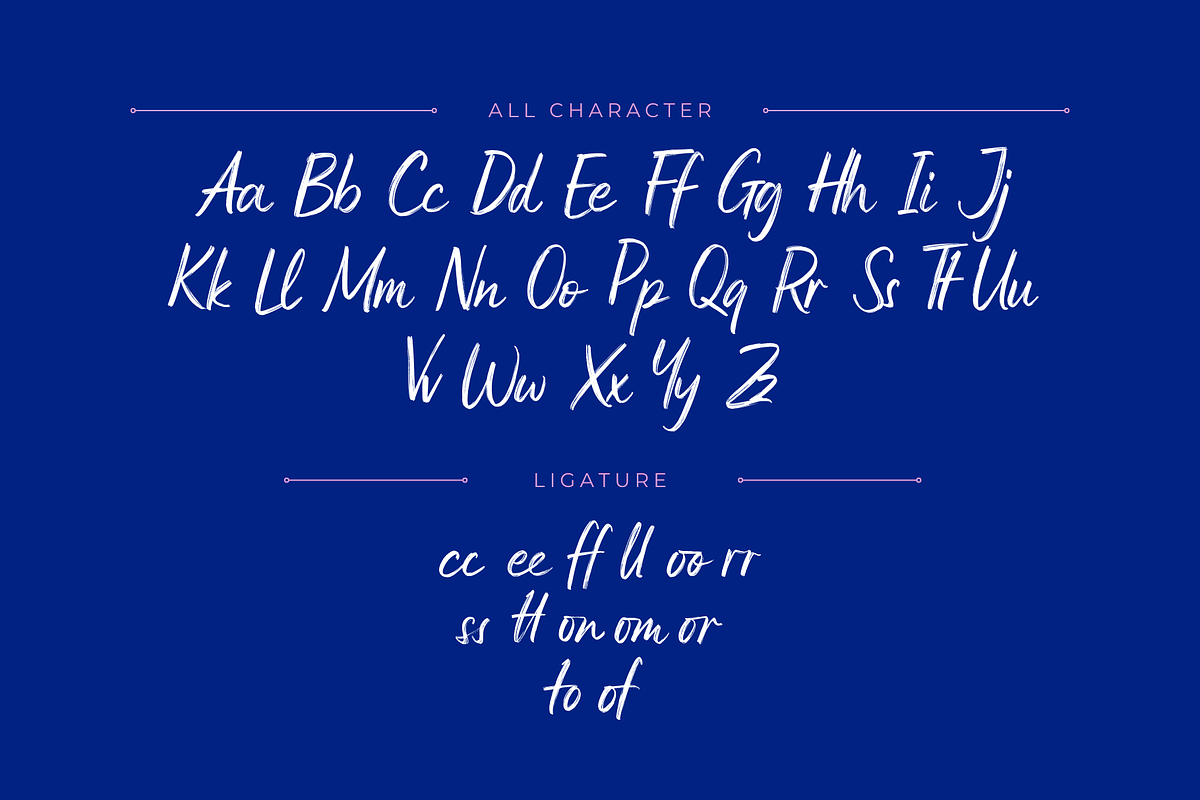 Bomqagi Brush - Script Logo Font, a Handwritten Font by Nirmana Visual (Photo 7 of 10)