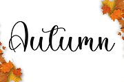 Beautiful, a Handwritten Font by FreshTypeINK (Thumbnail 8 of 9)