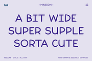 Marion Handwriting Font, a Handwritten Font by bryrude (Thumbnail 2 of 5)