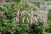 Royal Garden - Unique Semi Serif, a Serif Font by Schrifted Type (Thumbnail 3 of 8)