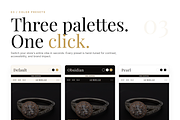 Aurelle Shopify Theme, a Shopify Template by Ibnul Jaif Farabi (Thumbnail 3 of 8)