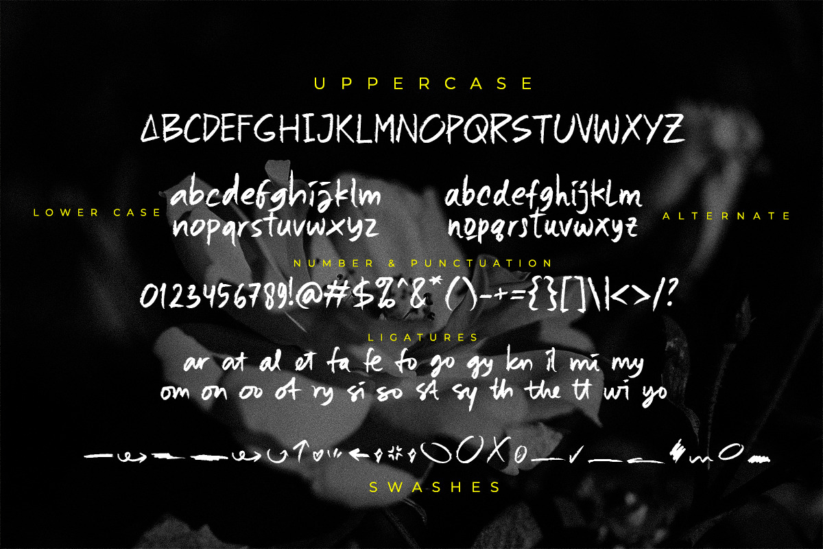 Omika-Handwritten Script Font, a Script Font by Scratch Design (Photo 9 of 11)