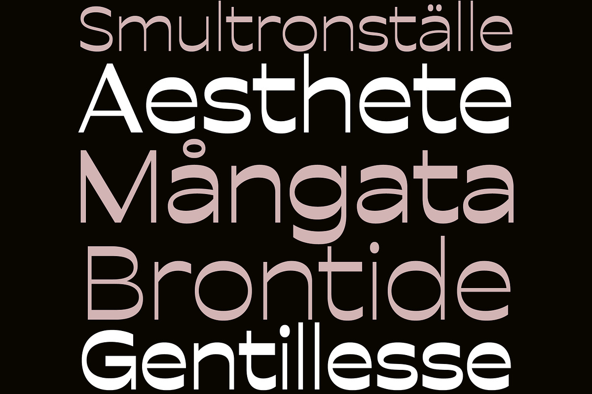 Lunastral, a Sans Serif Font by OceaneM (Photo 6 of 8)