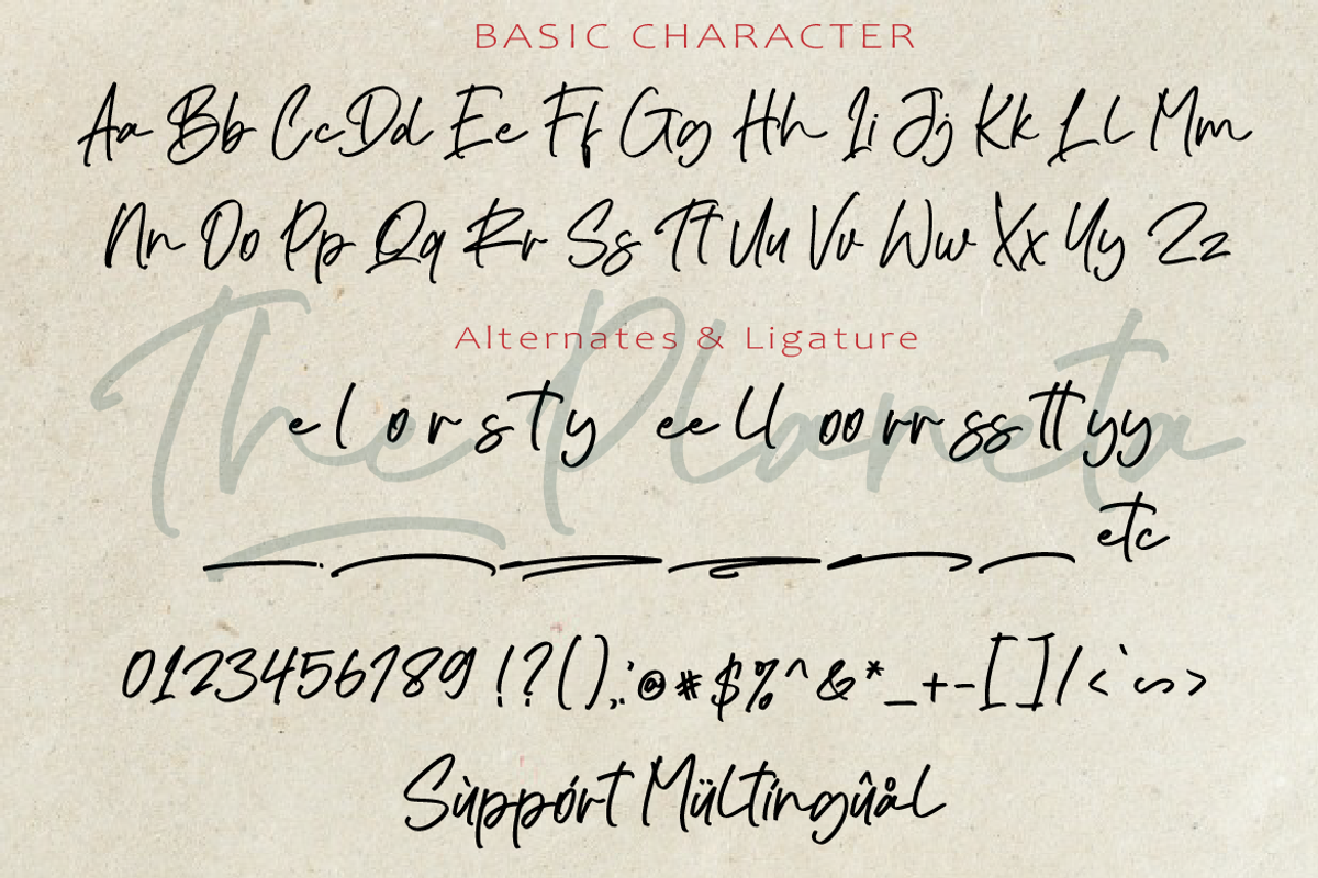 The Planeta, a Script Font by AMINMARIO (Photo 6 of 7)
