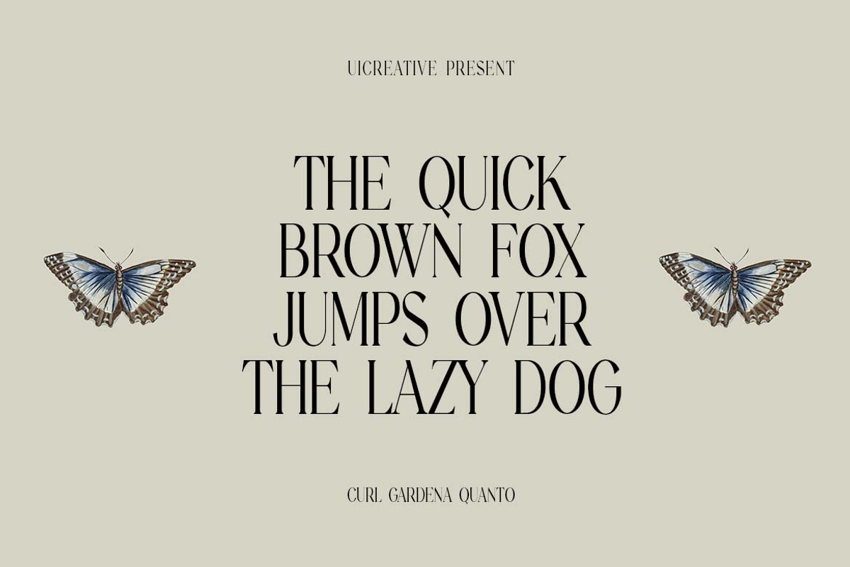 Galaxy Finger Elegant Serif Font, a Serif Font by UICreative (Photo 7 of 13)