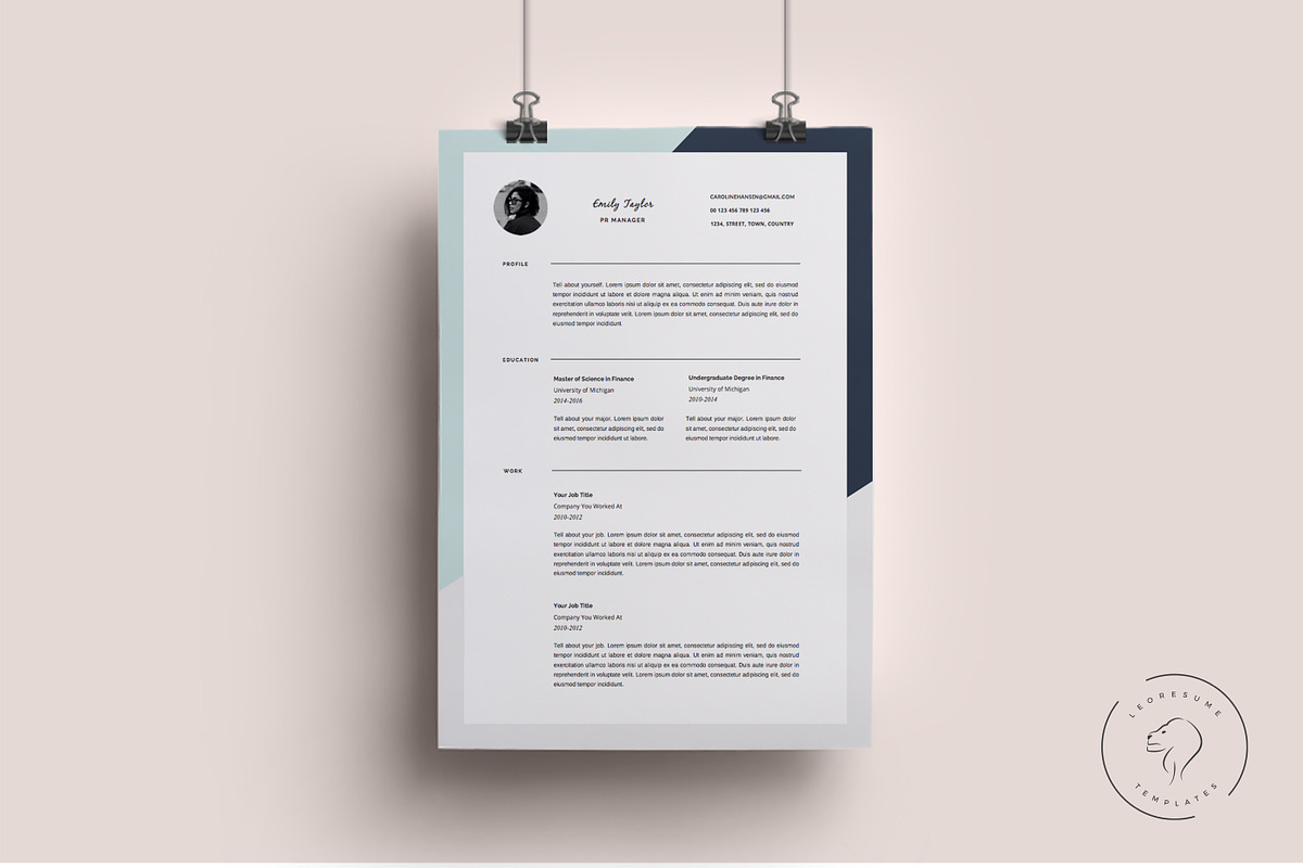 Professional Resume Template, a Resume Template by Leo Resume (Photo 1 of 5)