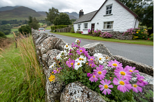 Charming Rural Cottage with Vibrant, a Nature Photo by Lermont51
