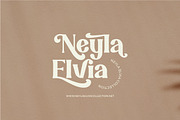 Famous Cool gorgeous typefaces, a Serif Font by suhadidesign (Thumbnail 16 of 19)