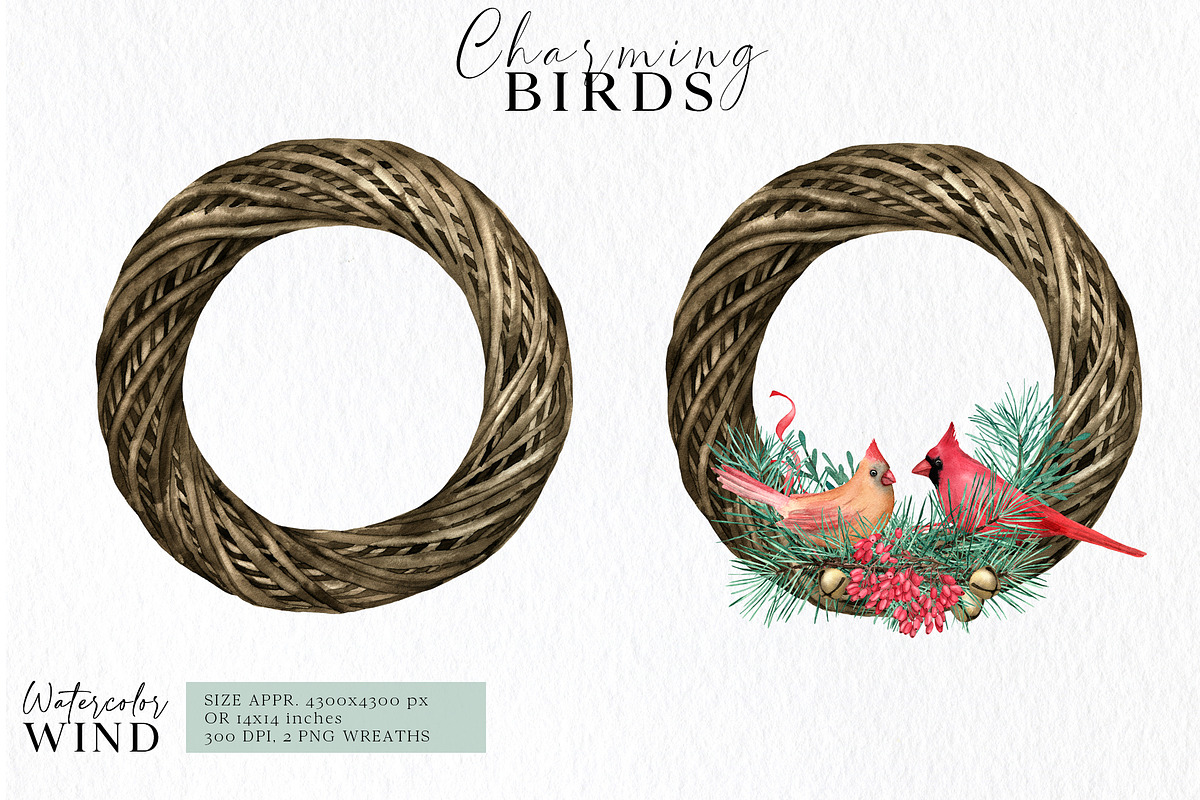 Christmas Teal Clipart Cardinal Bird, an Illustration by Ksenia Shmakova (Photo 7 of 16)