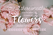 Inkheart Font Collection!, a Script Font by Fenotype (Thumbnail 6 of 20)