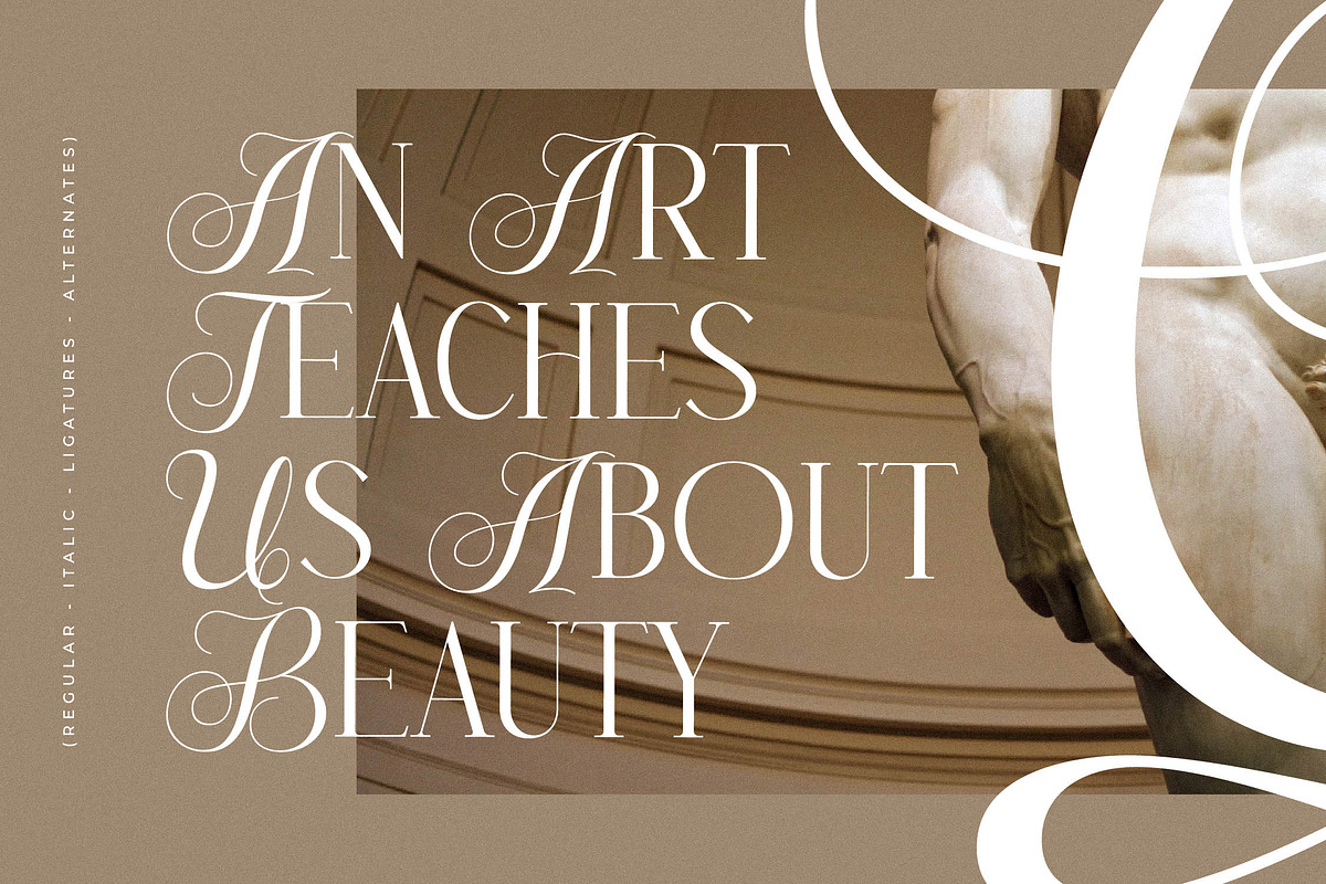 Menasha Brown New Hybrid Typeface, a Serif Font by Storytype Studio (Photo 6 of 15)