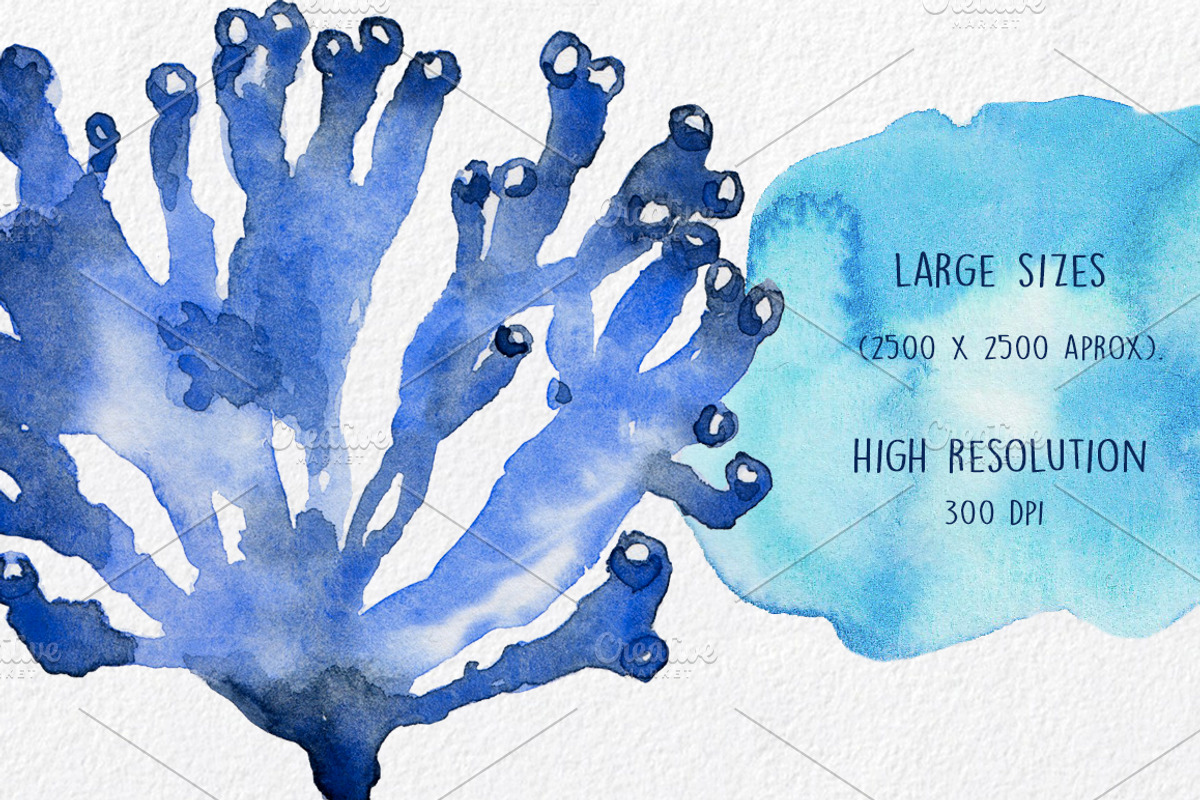 Underwater Life ClipArt Watercolor, an Animal Illustration by MaraquelaStudio (Photo 4 of 6)