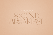 SALE! Type Maestro + Quasar font duo, a Serif Font by VP Fonts (Thumbnail 9 of 18)