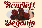 Belyora - Stylish Retro Font, a Serif Font by Font Liner (Thumbnail 10 of 13)