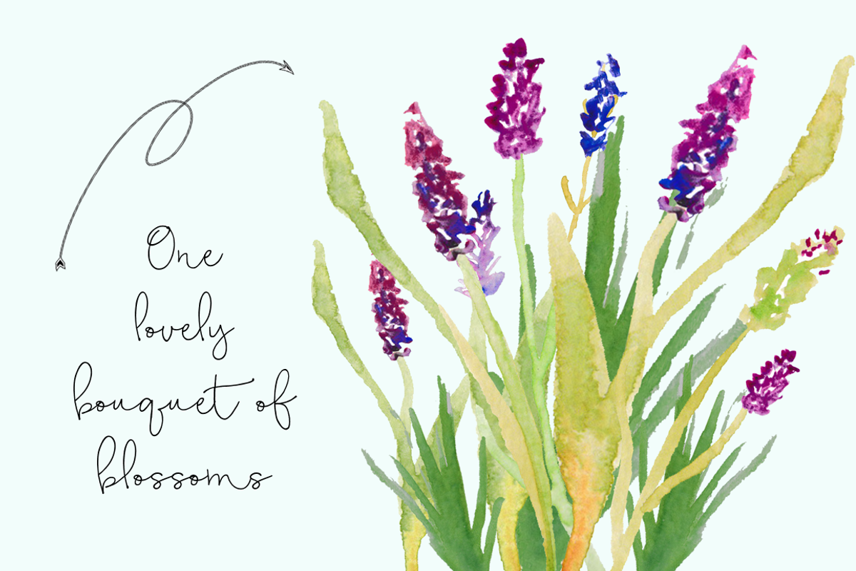 Watercolor Lavender Clip Art, an Illustration by Emerald & Ivy Studios (Photo 3 of 3)